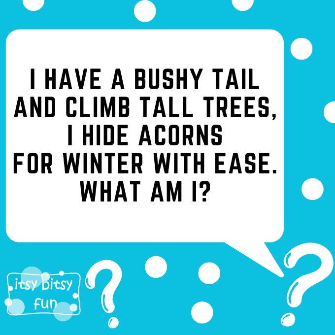 Squirrel Riddles for Kids 1