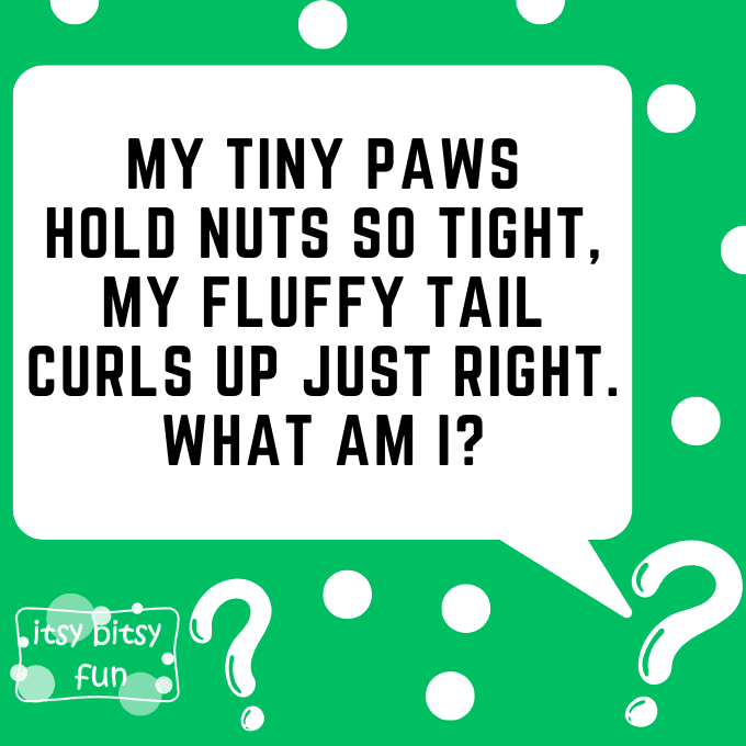 Squirrel Riddles for Kids 3
