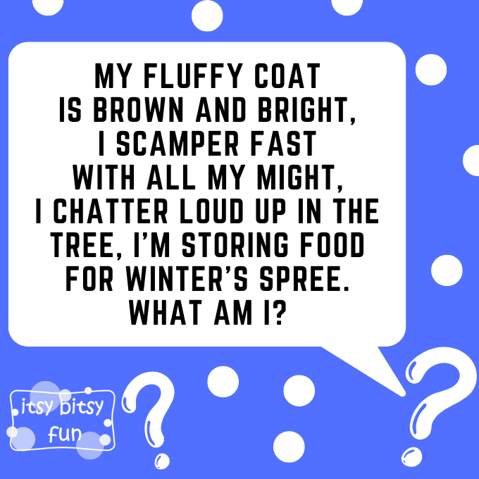Squirrel Riddles for Kids 5