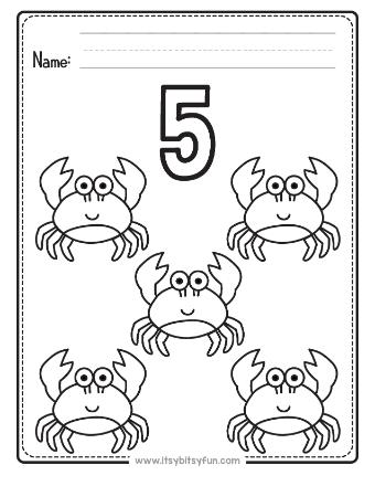 Summer Count and Color Worksheets-page-005