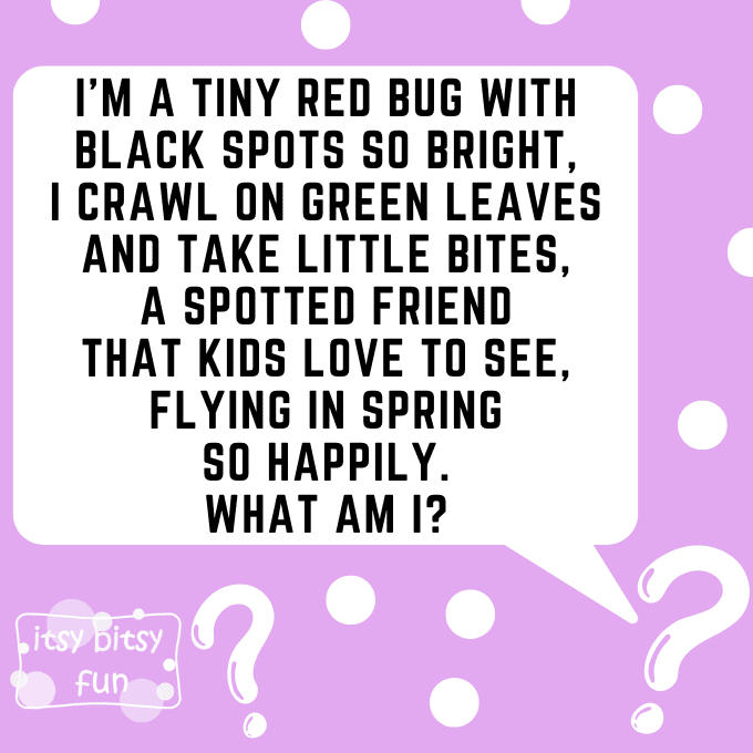 Spring Riddles for Kids 4