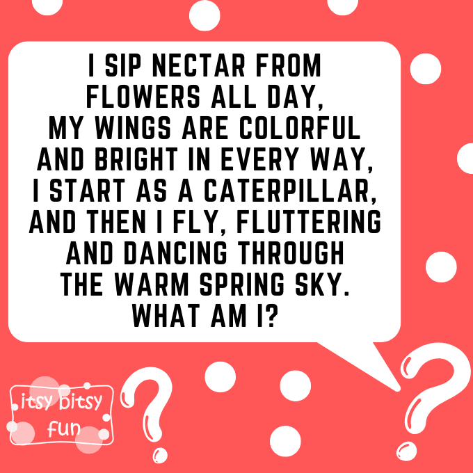 Spring Riddles for Kids 6