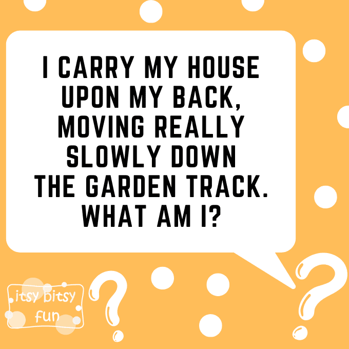 Spring Riddles for Kids 8