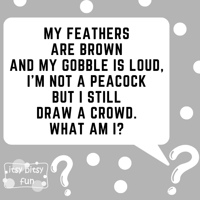 Turkey Riddles for Kids 5