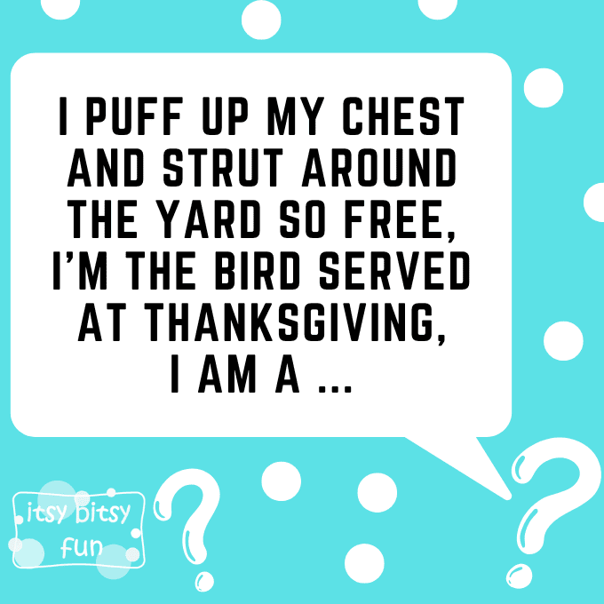 Turkey Riddles for Kids 7