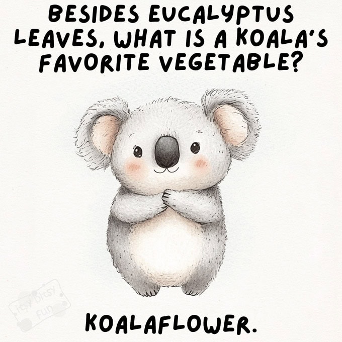 Funny Koala Jokes and Puns