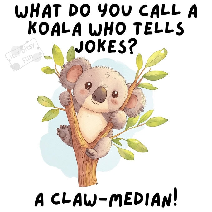 Funny Koala Jokes