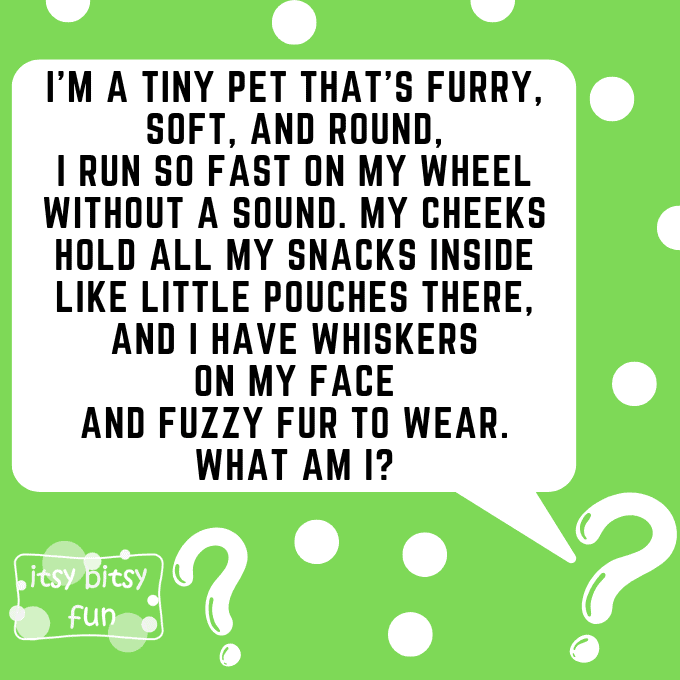 Hamster Riddles for Kids 1
