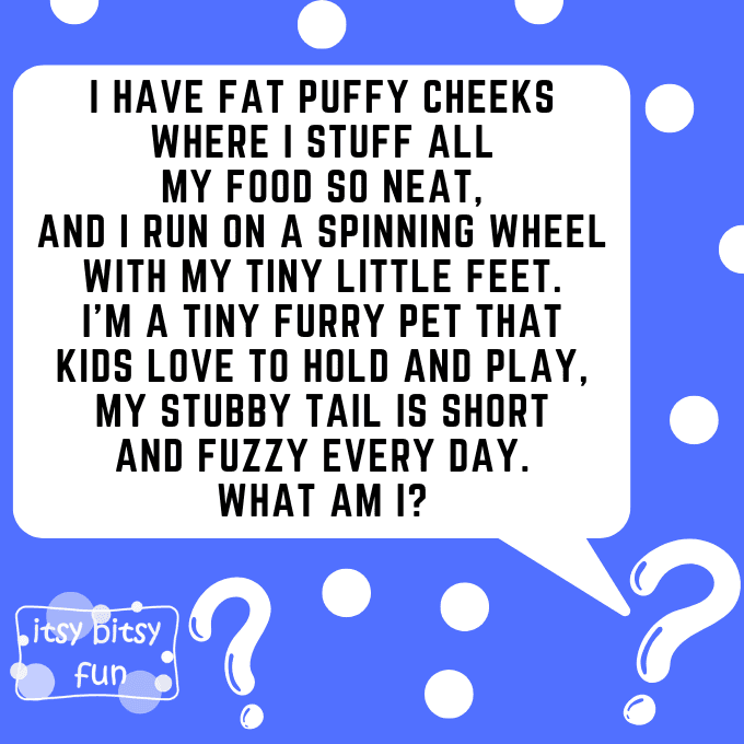Hamster Riddles for Kids 2