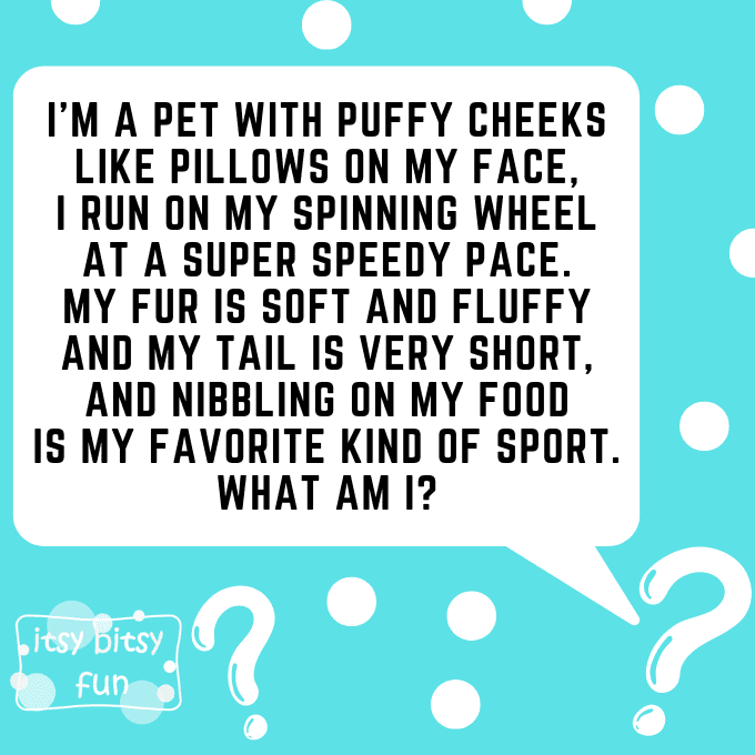 Hamster Riddles for Kids 3