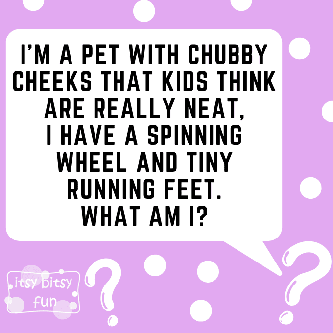 Hamster Riddles for Kids 4