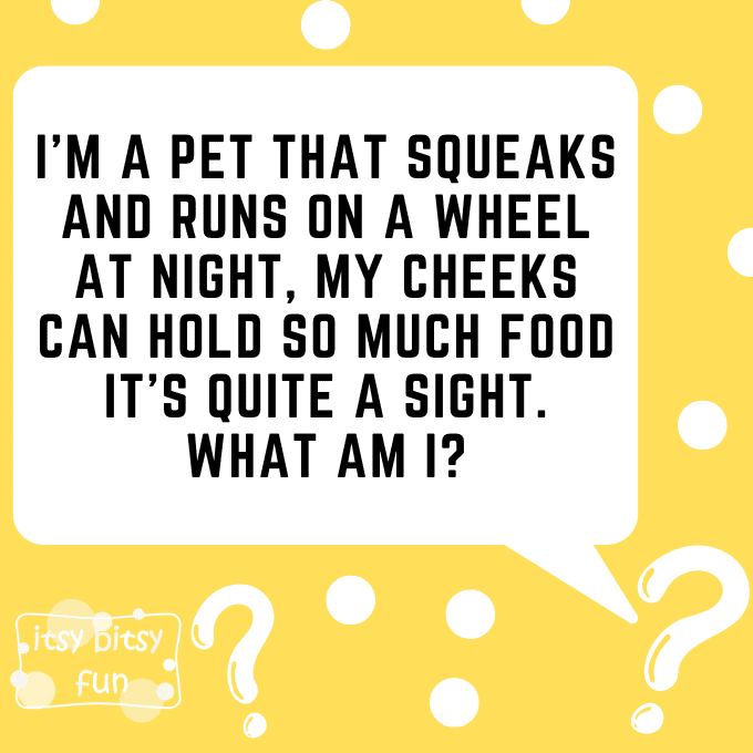 Hamster Riddles for Kids 5