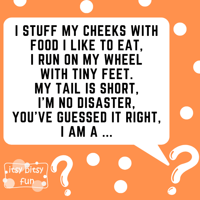 Hamster Riddles for Kids 6