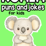 Koala Puns and Jokes for Kids