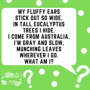 Puala Riddle Koala Riddles for Kids - Itsy Bitsy Fun
