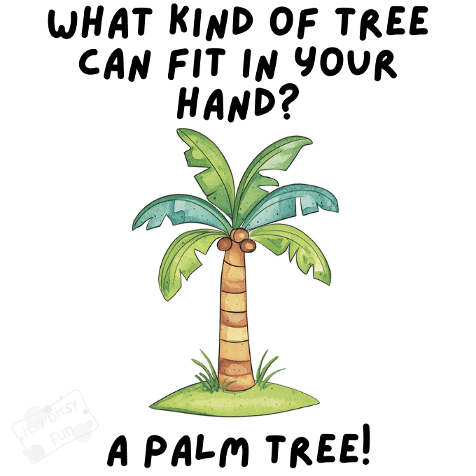 Hilarious Summer Jokes
