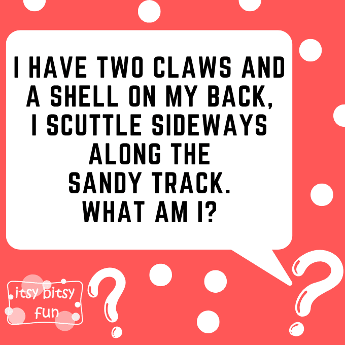 Summer Riddles for Kids 6
